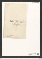 Diatomeae indet. Zeichnungen Sammlung Grunow (NHMW-BOT-W0375957)